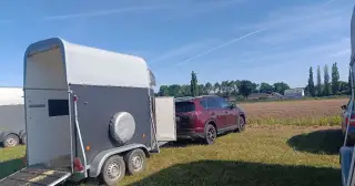 Přeprava koní a jiných hospodářských zvířat