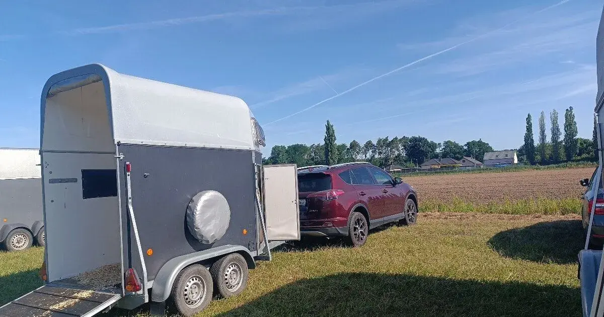 Přeprava koní a jiných hospodářských zvířat