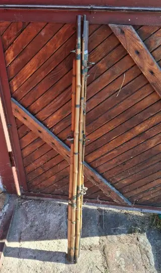 Starý prut