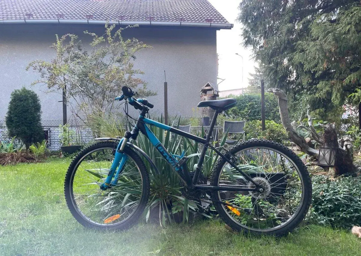 Dětské kolo 24
