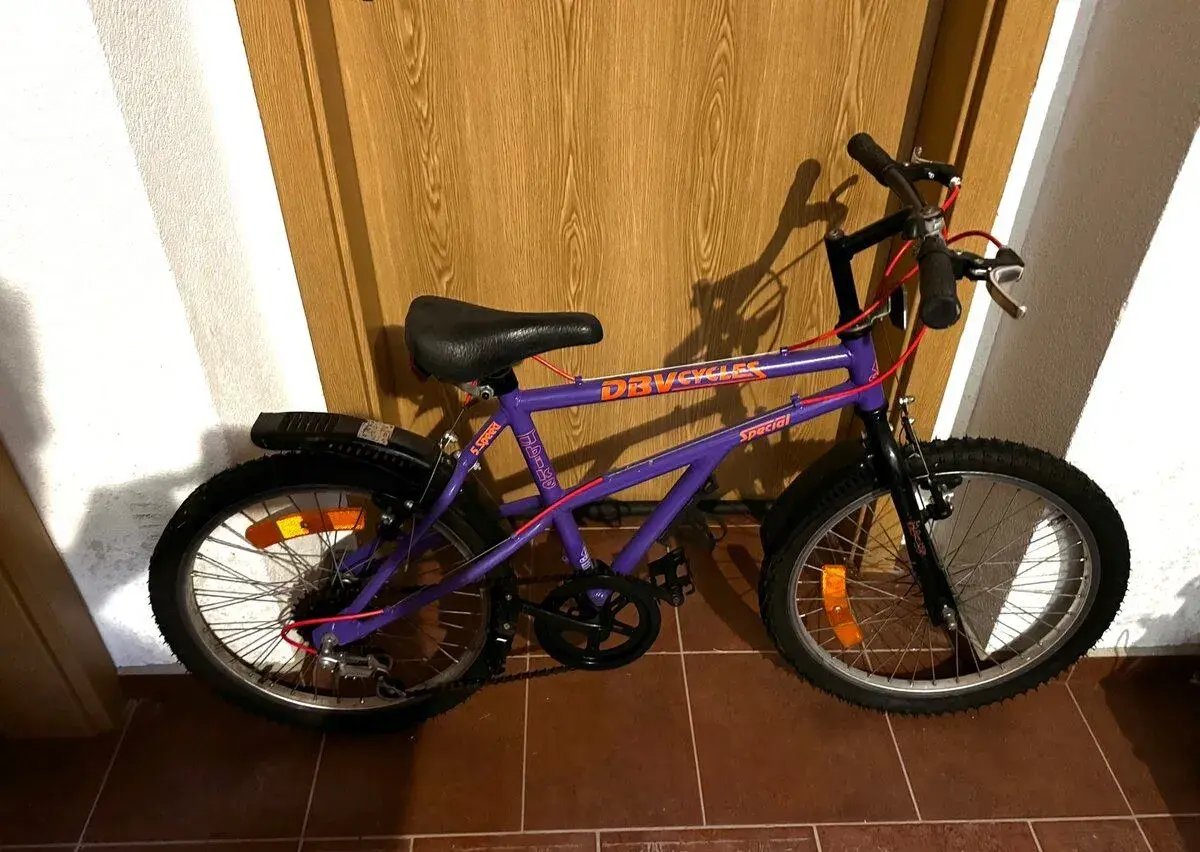 Dětské kolo DBV Cycles, kola 20″