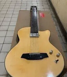 Kytara Angel Lopez(Stagg) piezo+humbucker