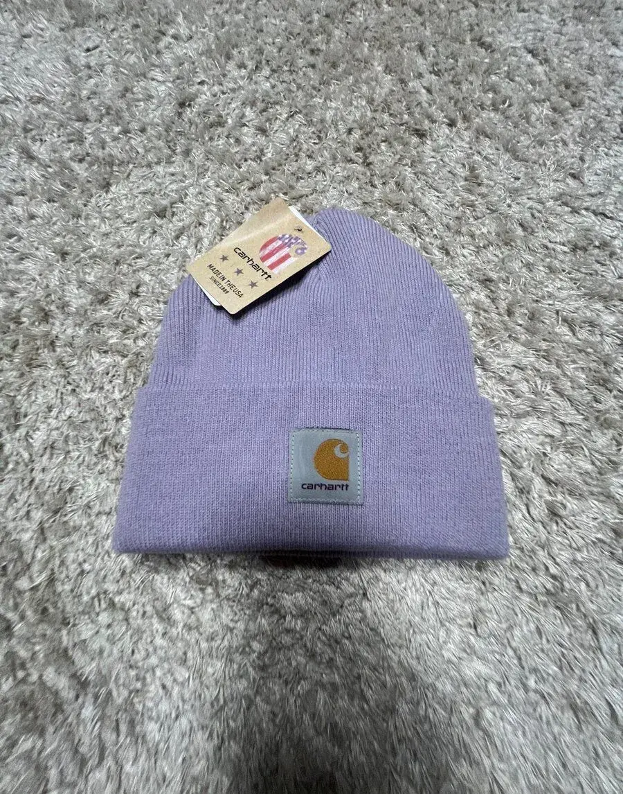 carhartt wip cepice