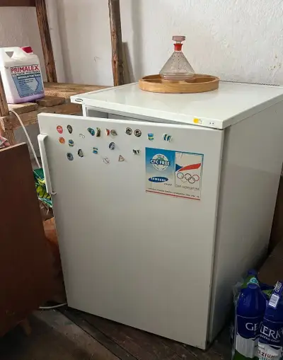 Lednička s mrazáčkem Samsung Calex