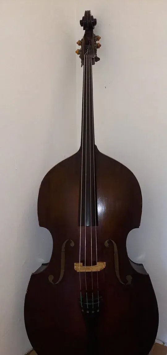 Kontrabas 3/4 celomasiv