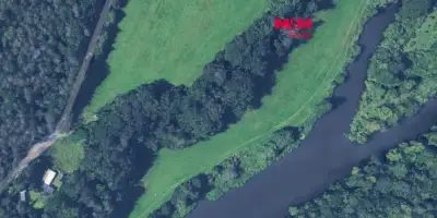 Prodej lesa, 3590 m², Plzeň