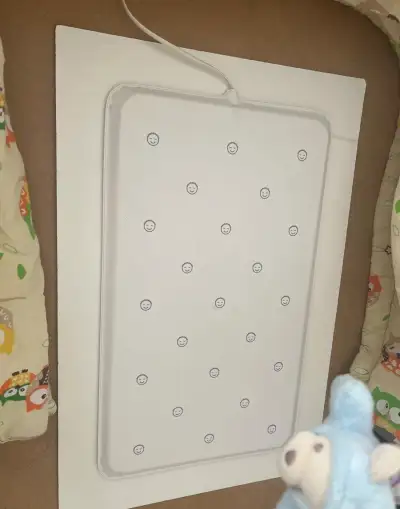 Monitor dechu Nanny