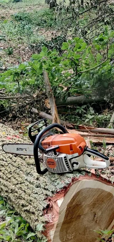 Stihl MS 261