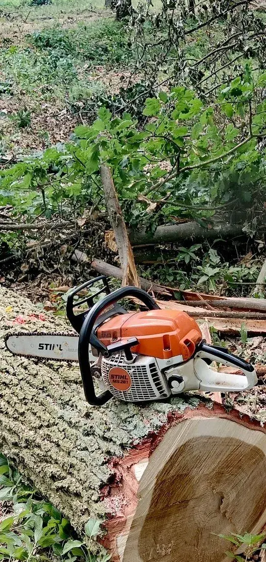 Stihl MS 261