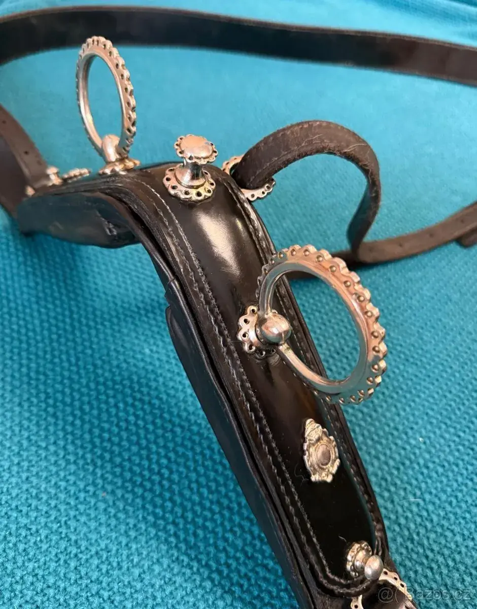 Maďarský kočárový postroj na páru koní