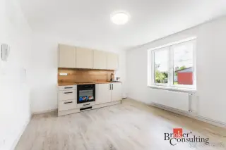 Prodej, byty/1+1, 45 m2, Křižíkova 1352, 73801 Frýdek-Místek
