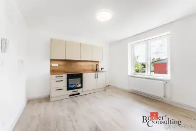 Prodej, byty/1+1, 45 m2, Křižíkova 1352, 73801 Frýdek-Místek