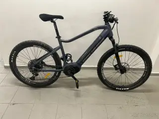 Elektrokolo Crussis