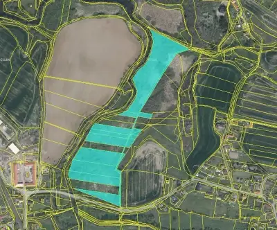 Pole 54 507 m², Podíl 50 % o výměře 26 409 m²