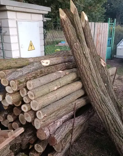 Akátové nejen kůly