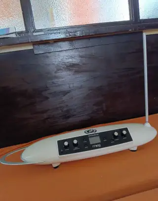 Moog Theremini