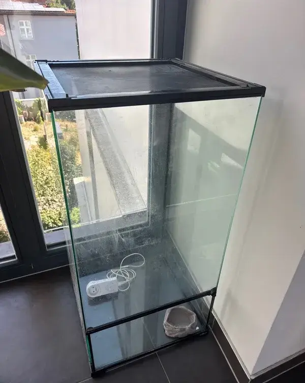 Terarium Repti Planet