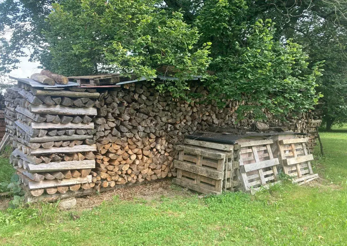 Palivové dřevo