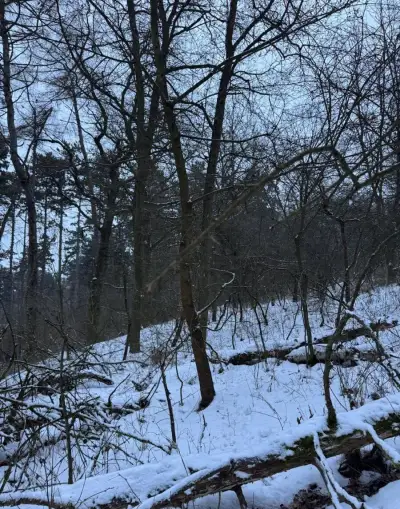 Prodej pozemků k.ú. Minice u Kralup nad Vltavou