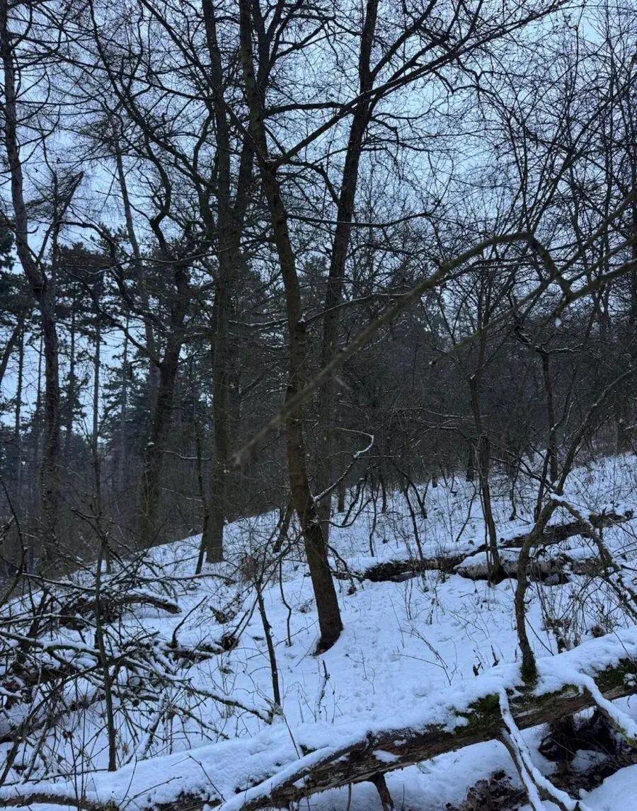 Prodej pozemků k.ú. Minice u Kralup nad Vltavou