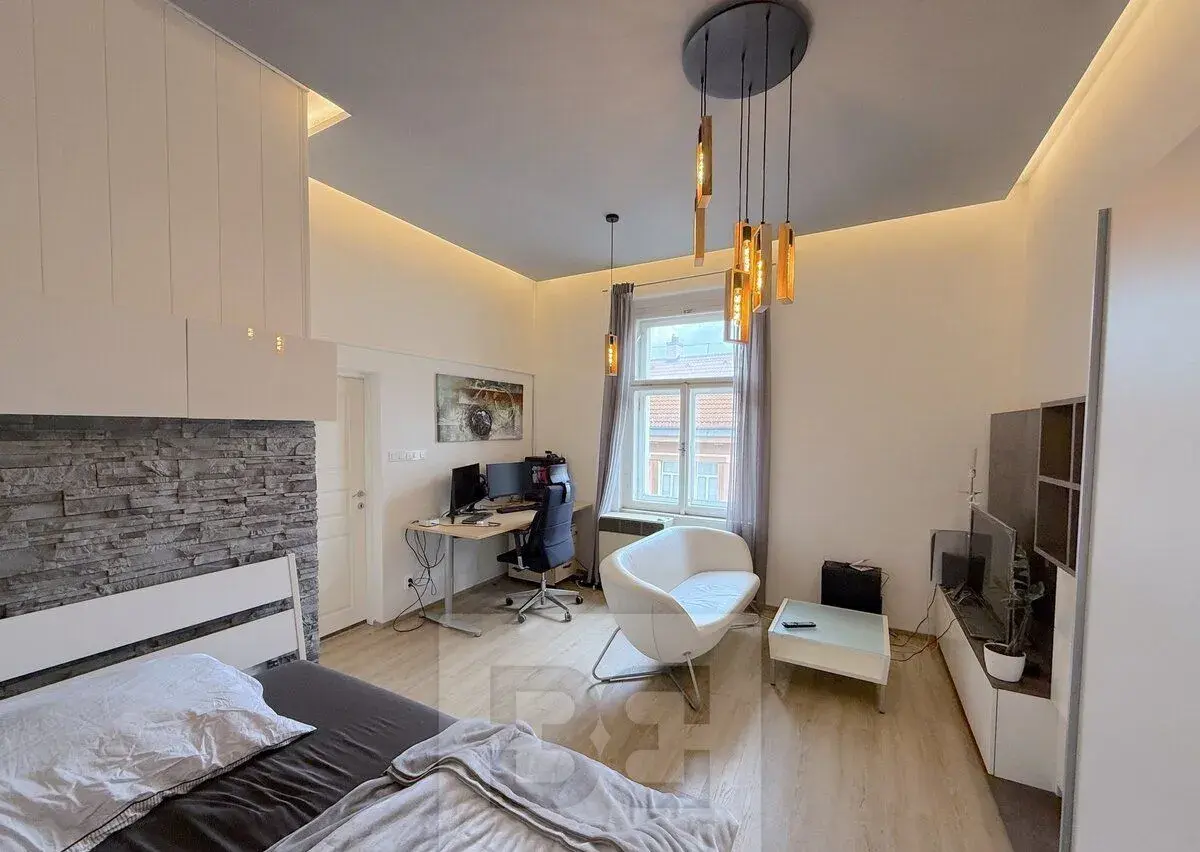 Pronájem bytu 1+1 40 m², Praha - Žižkov, ev.č. N09898
