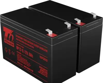 Sada baterií T6 Power pro záložní zdroj APC RBC177, VRLA 12V
