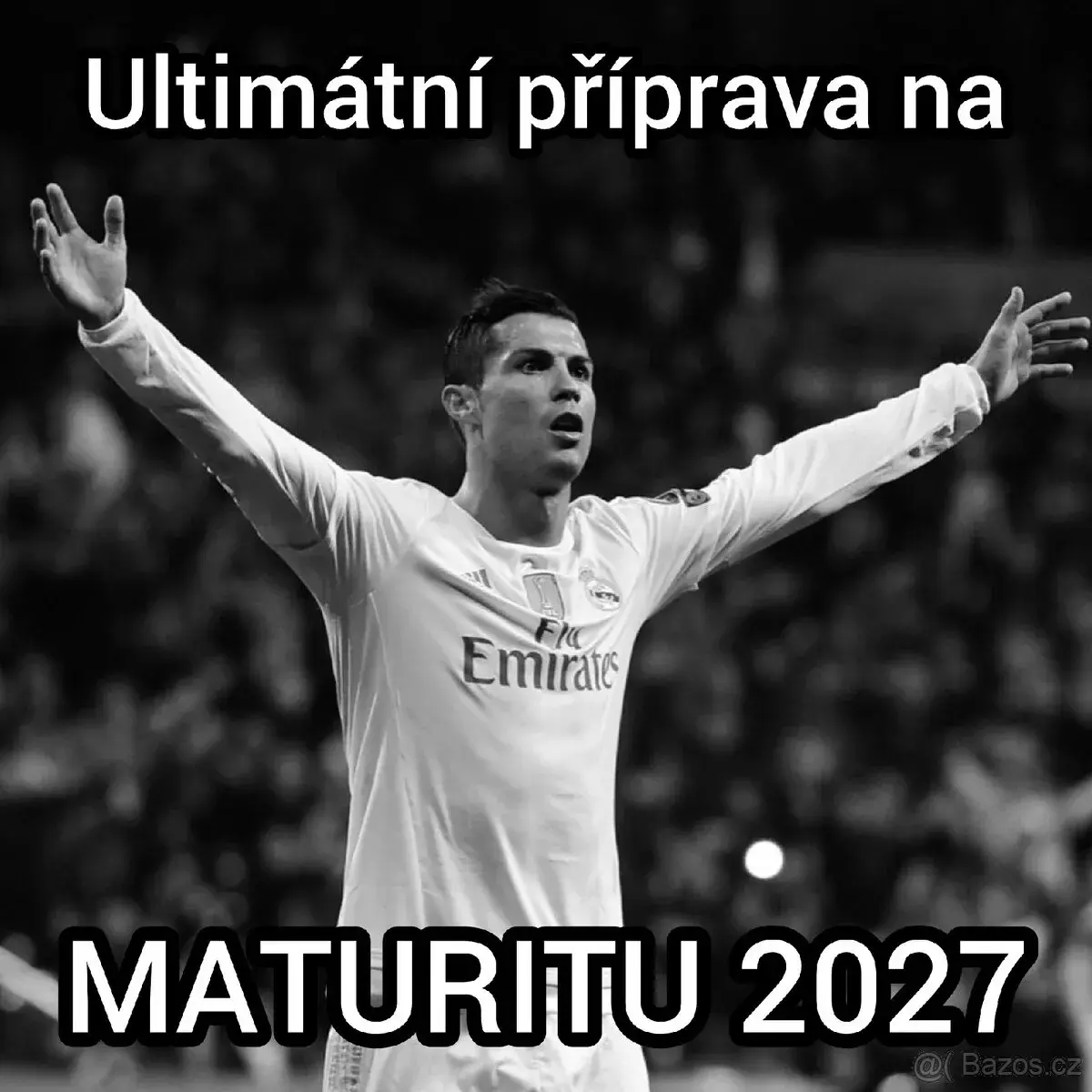 MATURITA: Doučování, vypracování maturitní práce
