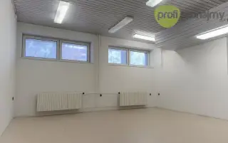 Pronájem obchodního/skladového prostoru 42,5 m²