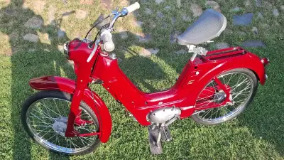 Jawetta 551