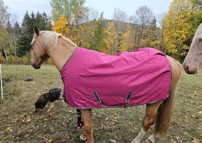 Bucas Freedom 125cm