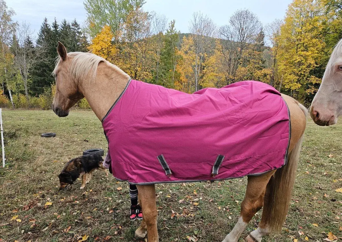 Bucas Freedom 125cm