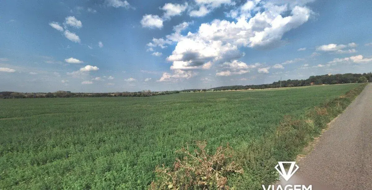 Pole 21 227 m², Podíl 67 % o výměře 14 151 m²