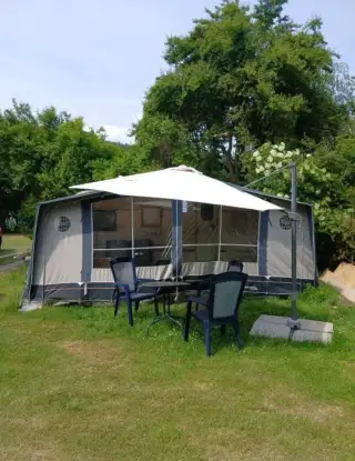 Slunečník