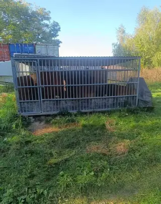 Velký kotec 4x2m s velkou zateplenou boudou.