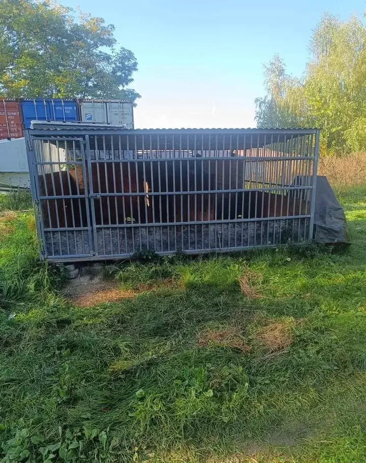 Velký kotec 4x2m s velkou zateplenou boudou.