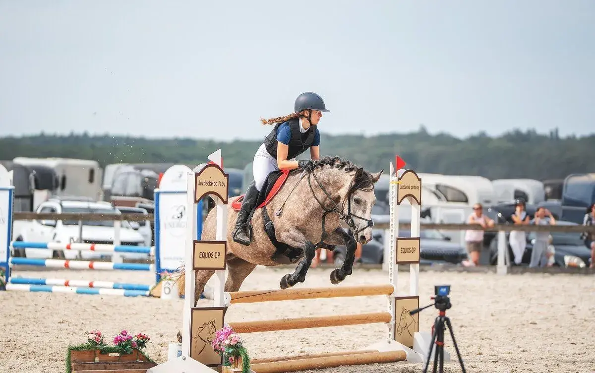 Pony klisna do sportu