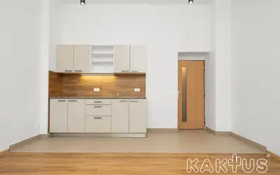 Pronájem bytu 1+kk s velkou terasou na ulici Strmá 900/7, Vr