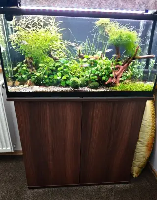 Zařízené akvarium