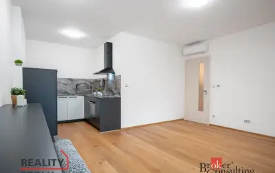 Pronájem, byty/1+kk, 56 m2, Kleštínek 381/14, Jehnice, 62100