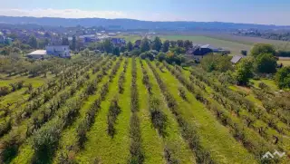 Pozemky 8 522 m² – Lipník nad Bečvou, ev.č. 02562