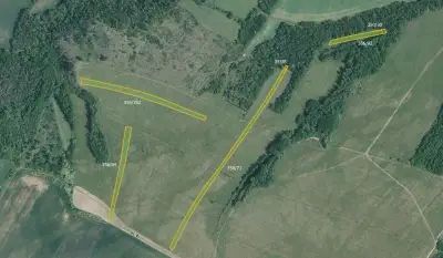 Louka, prodej, Hrubšice, Ivančice, Brno-venkov