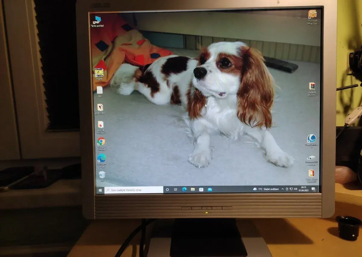 monitor zn: ASUS MM17D 17"