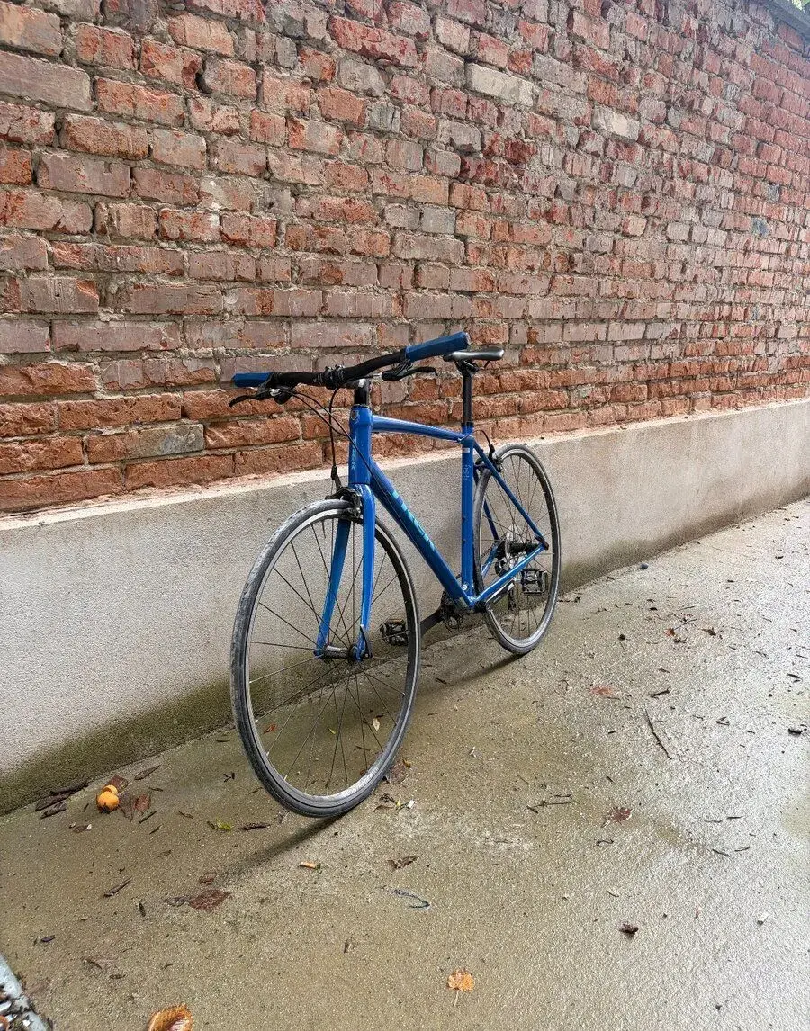 Trek Domane AL 2 s Karbonou vidlicí
