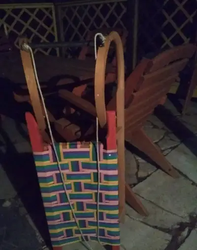 Sáňky, sáňkování