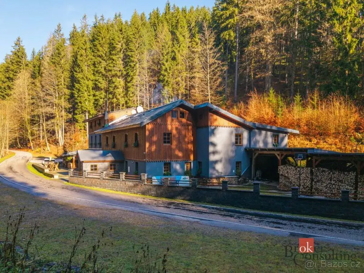 Prodej, komerční/ubytování, 650 m2, 54352 Strážné, Trutnov [