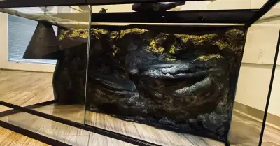 Terarium 80x40x40 s pozadím