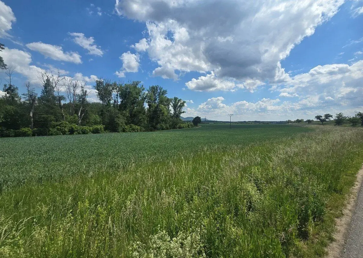 Prodej vinice a orné půdy Ivaň 4 942 m²‌