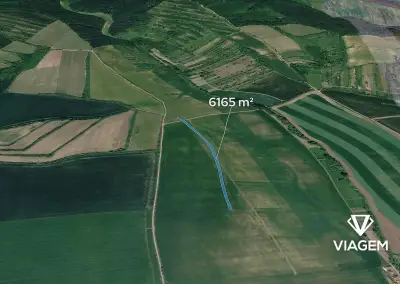 Pole 6 165 m², Podíl 50 % o výměře 3 083 m²
