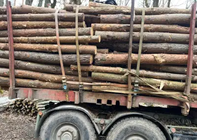 Nejlevnější palivové dřevo, kulatina i štípané