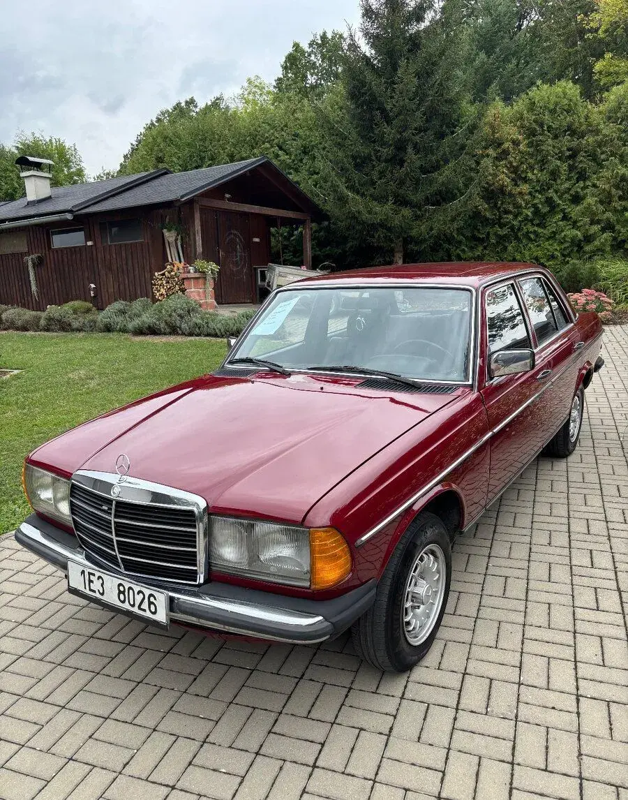 Mercedes-Benz W123
